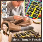 3D Metal Challenge Puzzle Toy